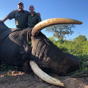 Zimbabwe Hunting Elephant