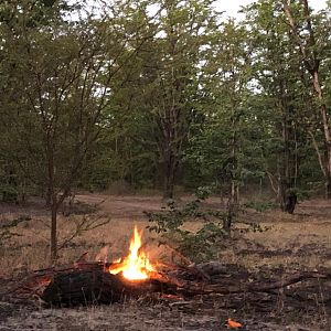 Hunting Camp in Zimbabwe