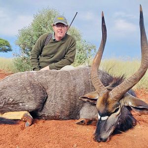 Nyala Hunt South Africa