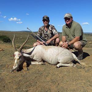Hunt White Blesbok in South Africa