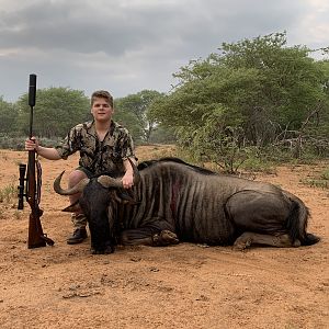 South Africa Hunt Blue Wildebeest