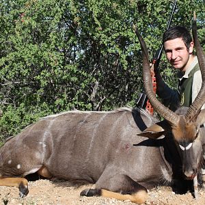 Nyala from Limpopo