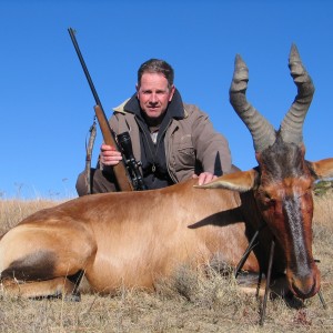 Red hartebeest, Hunting with Clients