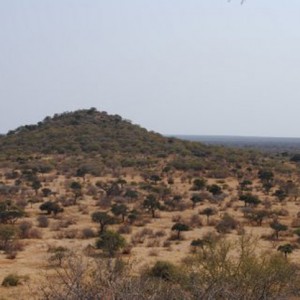 Landscape South Africa