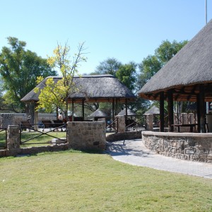 Etosha Namibia