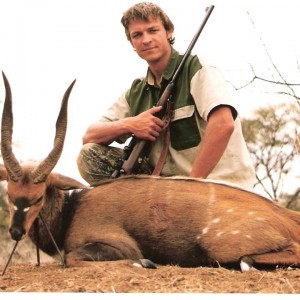 17 inch Limpopo Bushbuck