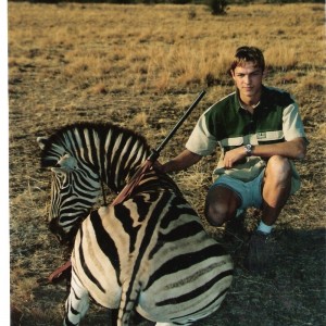 Burchell's Zebra hunt