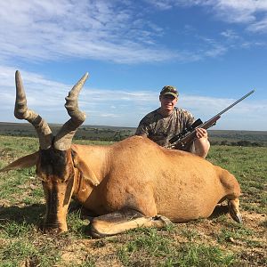 Hunt Red Hartebeest in South Africa