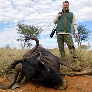 Namibia Hunting Blue Wildebeest