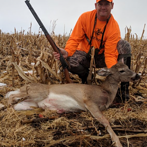 Hunt White-tailed Deer in USA