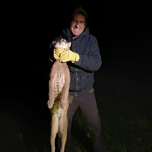 South Africa Hunt Caracal