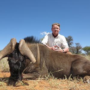 Black Wildebeest Hunt Namibia