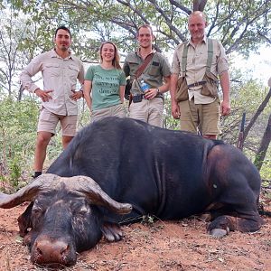 Namibia Hunt Cape Buffalo