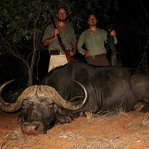 Namibia Hunting Buffalo