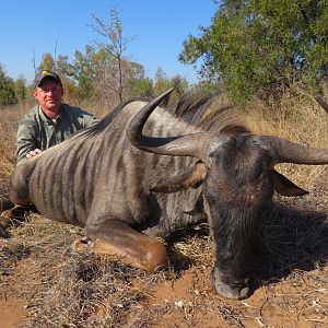 South Africa Hunt Blue WIldebeest