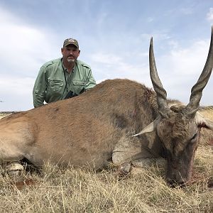 South Africa Hunting Eland