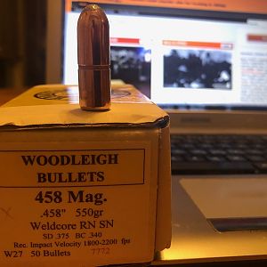 Woodleigh .458 Mag 550 Gr Bullet