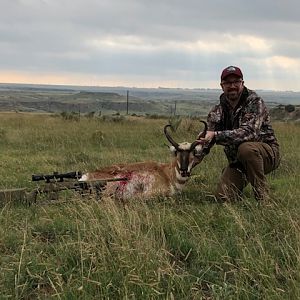 Pronghorn Hunting Texas USA