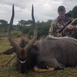 Hunting Nyala in South Africa