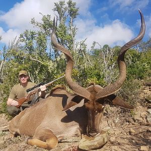 Kudu Hunting South Africa