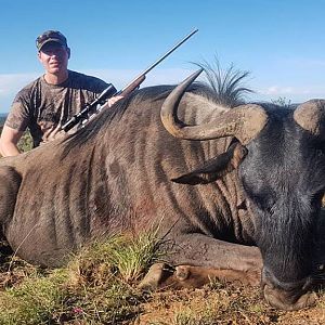 South Africa Hunt Blue Wildebeest