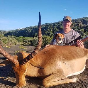 South Africa Hunting Impala