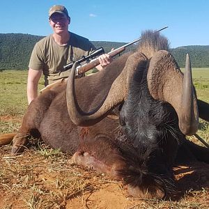 Black Wildebeest Hunting South Africa