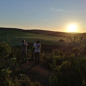 Glassing Game South Africa