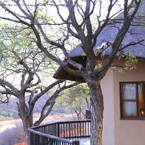 Hunting Lodge in South Africa