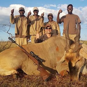 South Africa Hunting Eland