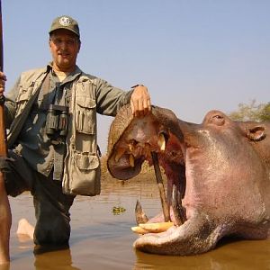 South Africa Hunt Hippo