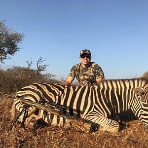 Burchell's Plain Zebra Hunt South Africa