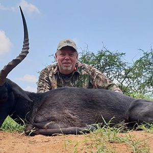 Hunt Black Impala in South Africa