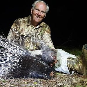 Hunting African Porcupine in South Africa