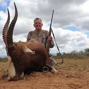 Hunt Blesbok in South Africa