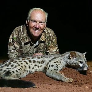 South Africa Hunt Genet Cat