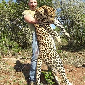 Hunt Leopard in South Africa