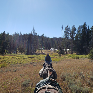 Wyoming Archery Elk Hunt 2018