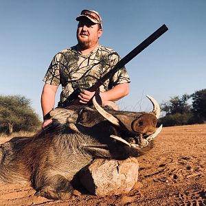 Warthog Hunting South Africa