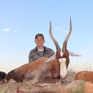 South Africa Hunt Blesbok