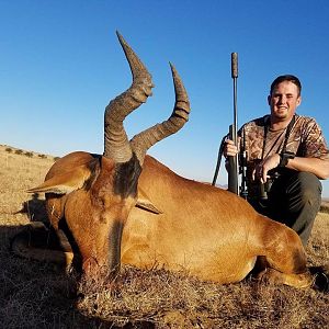 South Africa Hunting Red Hartebeest