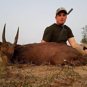 South Africa Hunt Bushbuck