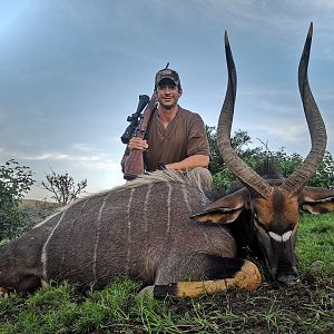 South Africa Hunt Nyala