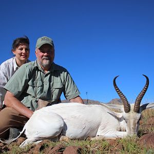 White Springbok Hunt South Africa