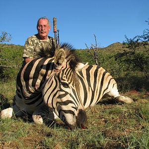 South Africa Hunt Burchell's Plain Zebra