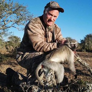 South Africa Hunting Vervet Monkey