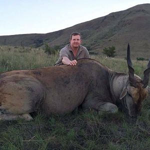 South Africa Hunt Eland