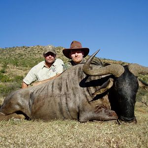 South Africa Hunt Blue Wildebeest