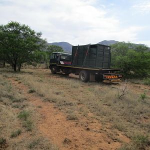 Rhino Conservation South Africa