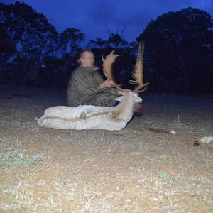 Australia Hunt Fallow Deer